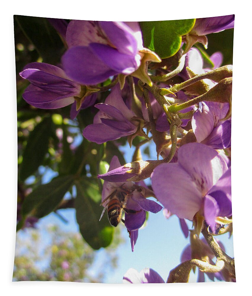 Texas Mountain Laurel Tapestry featuring the photograph Bee Butt in Purple Flowers by W Craig Photography