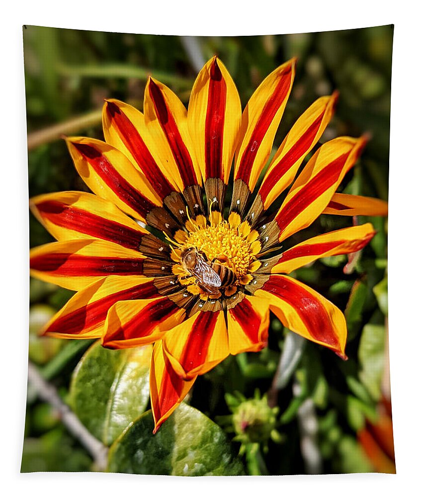 Bee Tapestry featuring the photograph Bee in Flower by Dave Zumsteg