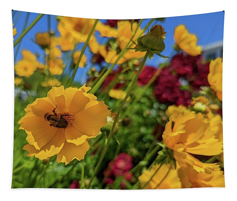 Bee Tapestry featuring the painting Bee in the Shade by Annalisa Rivera-Franz