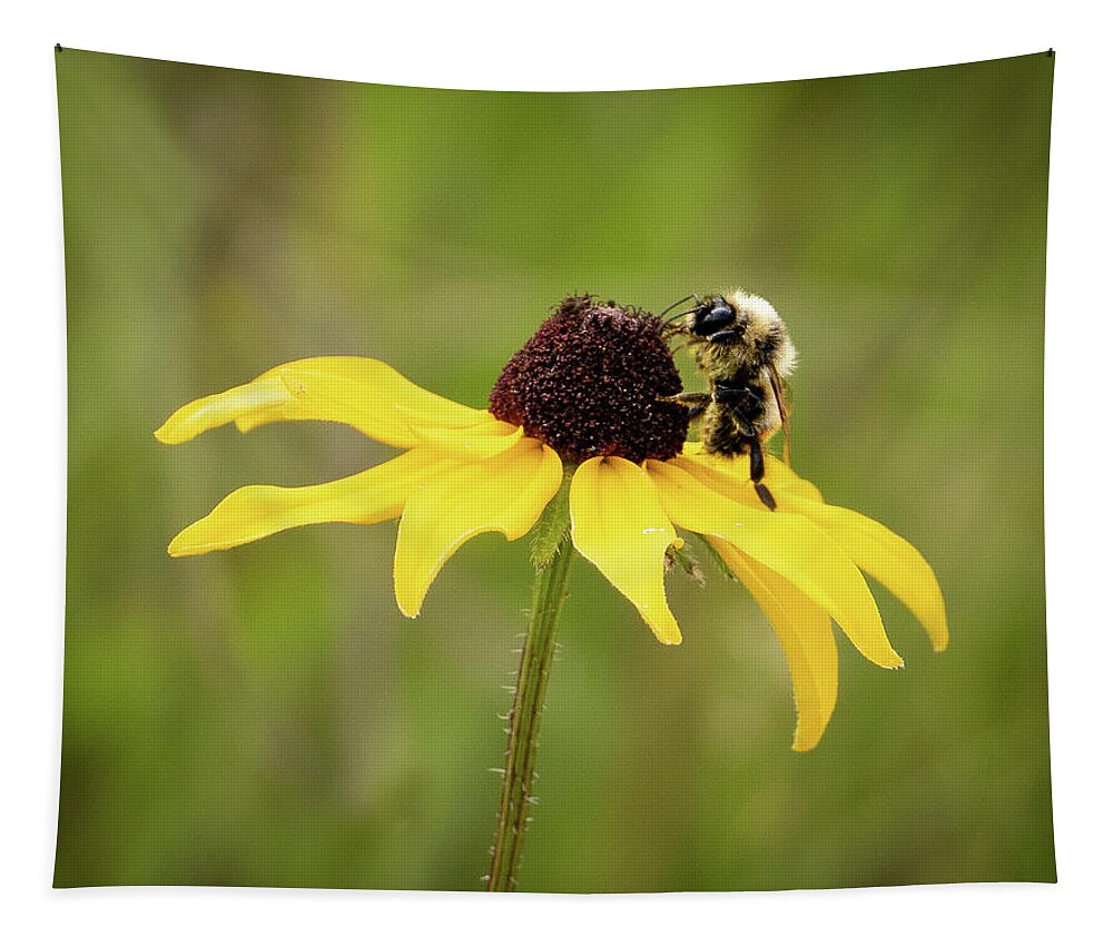 Bee Yellow Flower Tapestry featuring the photograph Bee on a Flower by David Morehead