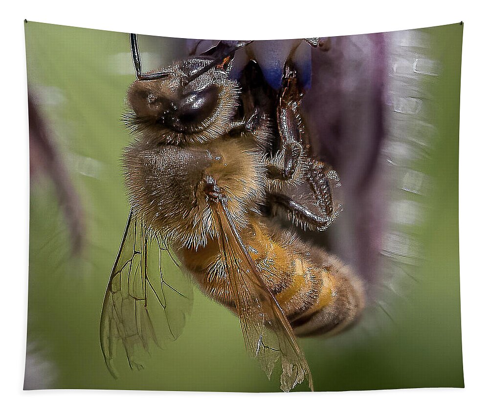 Honeybee Tapestry featuring the photograph Bee on Starflower by Cheri Freeman
