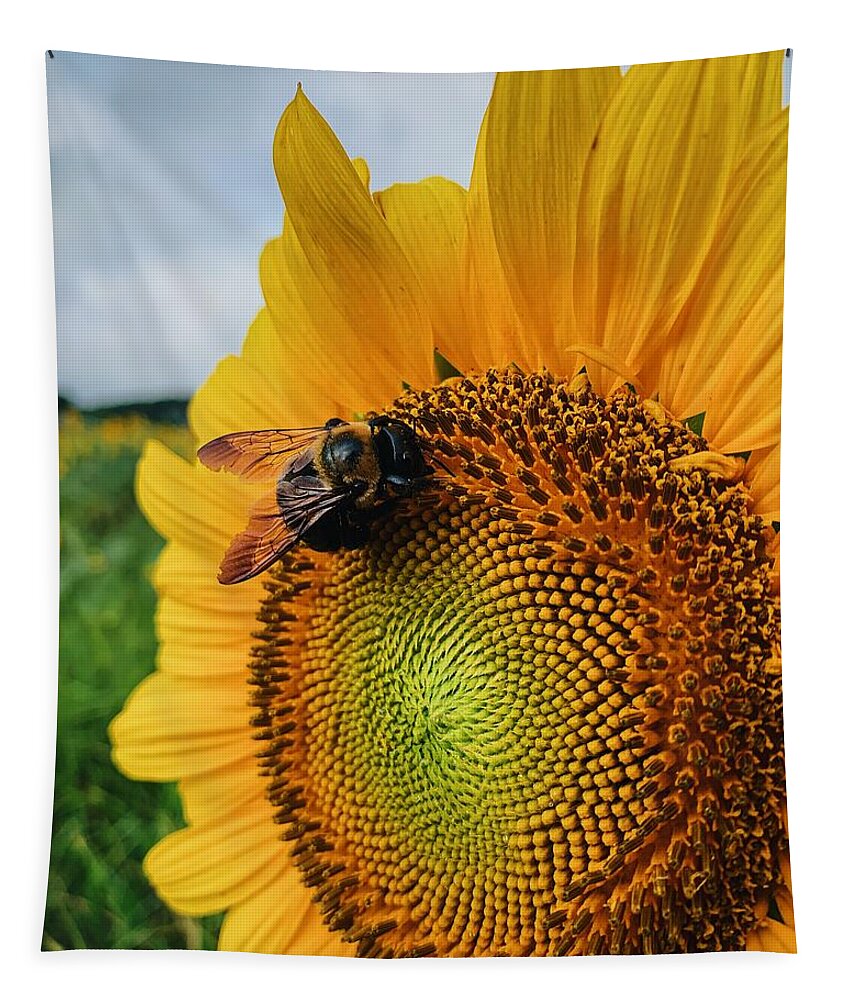 Bee Tapestry featuring the photograph Bee on Sunflower by Rick Nelson