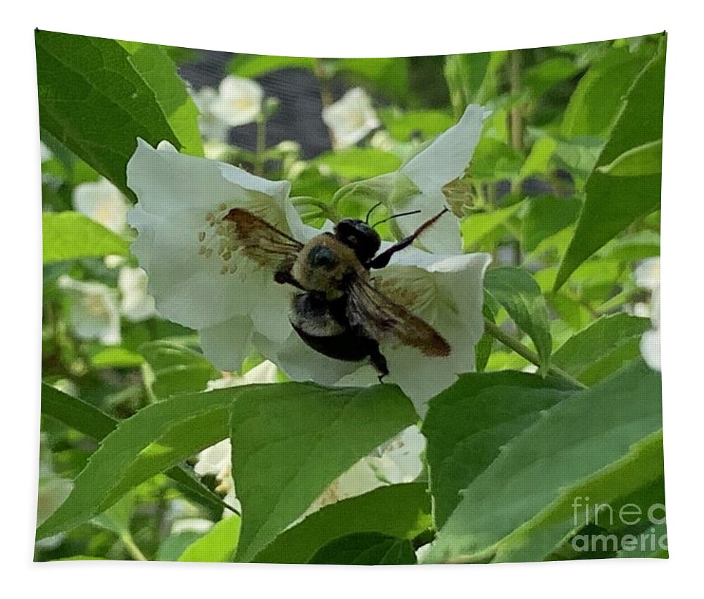 Bee Tapestry featuring the photograph Bee Time by Catherine Wilson