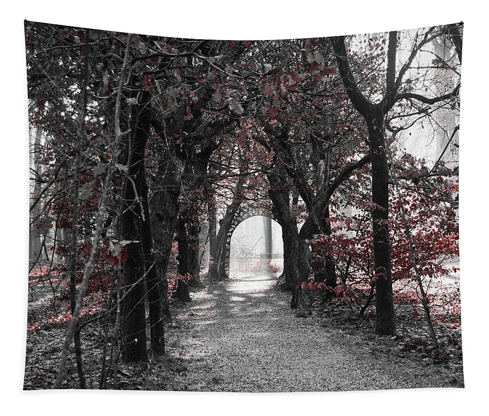 Landscape Tapestry featuring the photograph Beech forest tunnel by MPhotographer