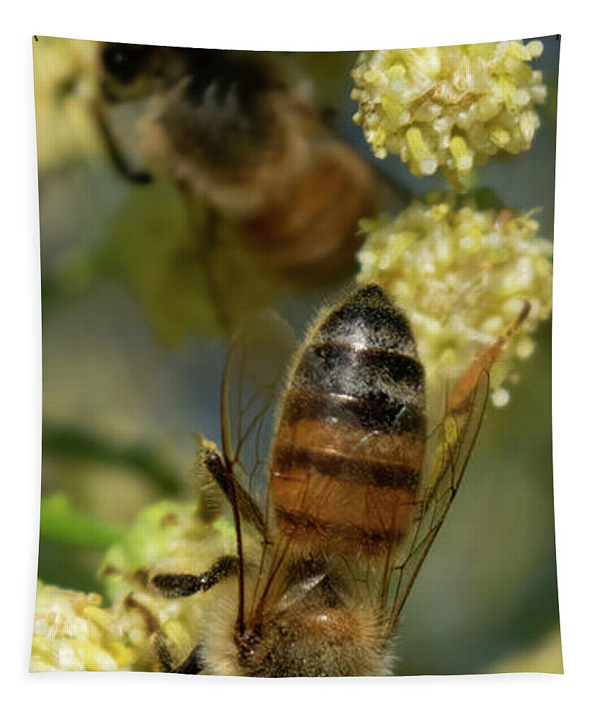Bee Tapestry featuring the photograph Bees on Desert Broom by Bonny Puckett