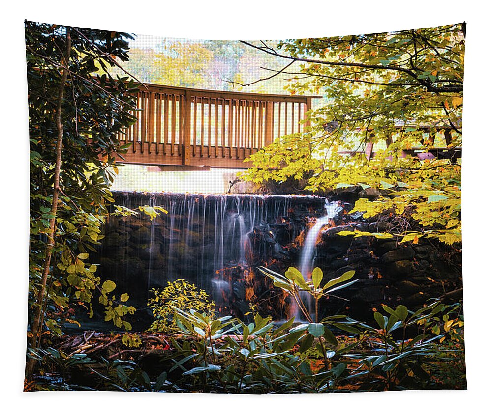 Ice Lake Tapestry featuring the photograph Behind the Dam at Ice Lake by Jason Fink