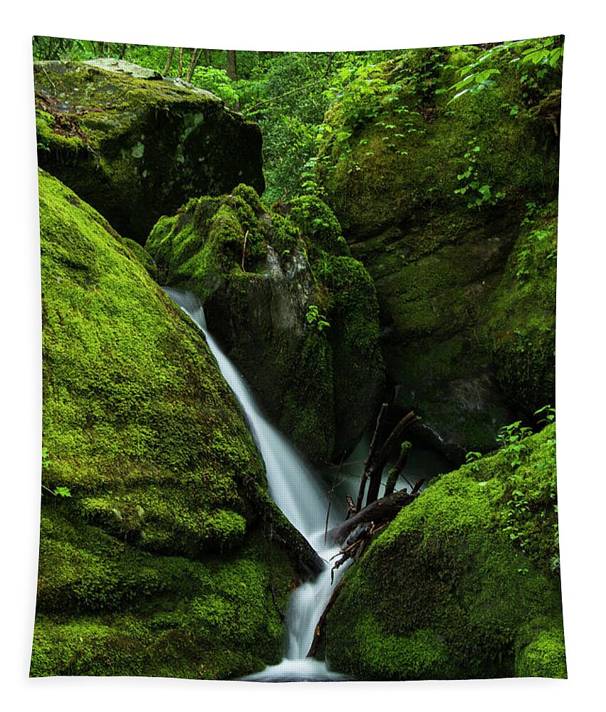 Great Smoky Mountains National Park Tapestry featuring the photograph Below 1000 Drips 1 by Melissa Southern
