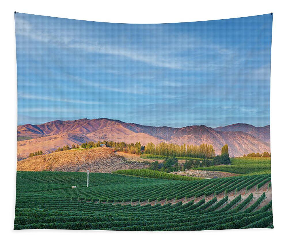America Tapestry featuring the photograph Benson Vineyard and Sky Panorama by Inge Johnsson