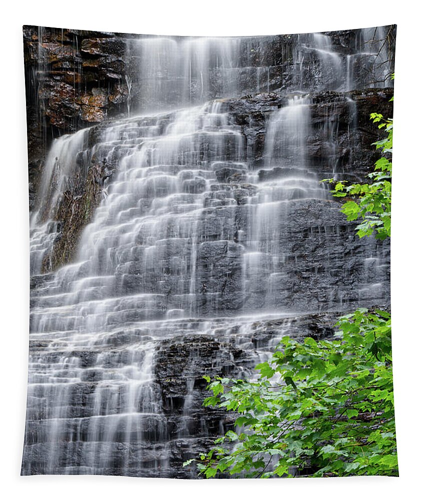 Lake Ocoee Tapestry featuring the photograph Benton Falls 14 by Phil Perkins