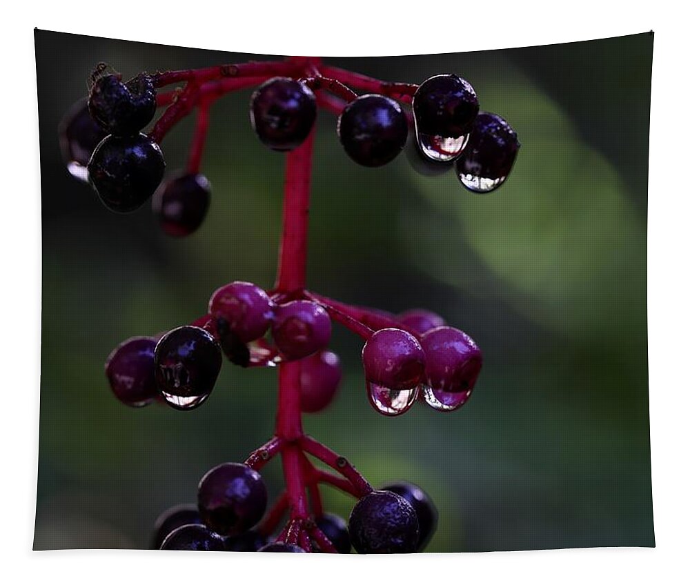 Rose Grape Tapestry featuring the photograph Rose Grape 2 by Mingming Jiang