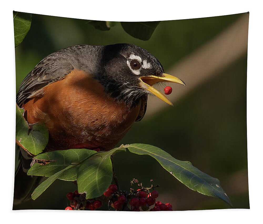 Robin Tapestry featuring the photograph Berry Toss by RD Allen