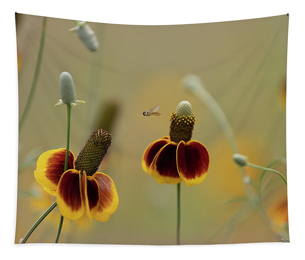 Insect Tapestry featuring the photograph Between Flowers by Deon Grandon