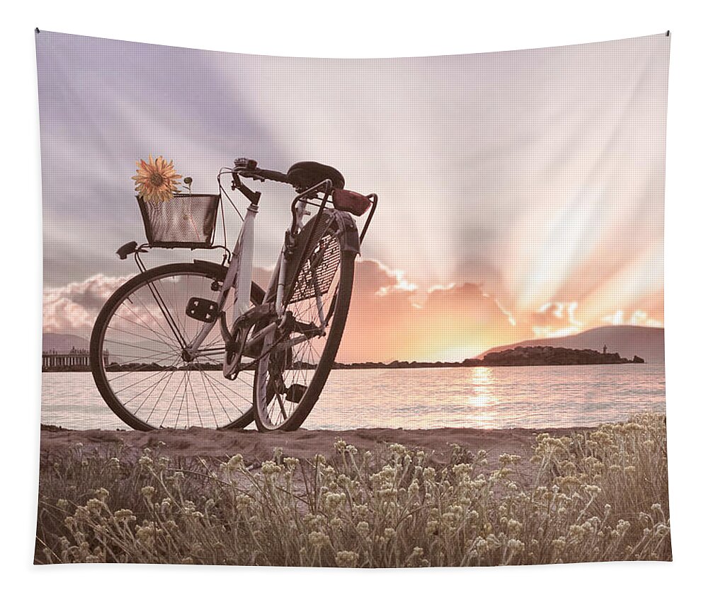 Bike Tapestry featuring the photograph Bicycle at the Shore Cottage by Debra and Dave Vanderlaan