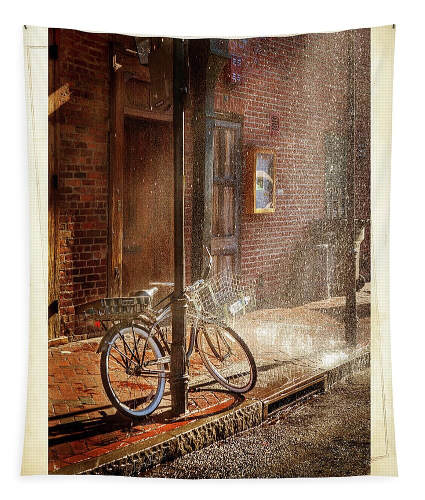 Bicycle Tapestry featuring the photograph Bicycle in the Rain by Craig J Satterlee