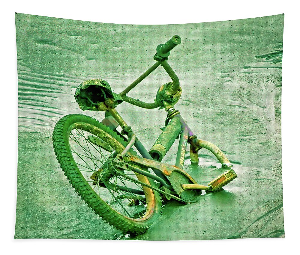 Bicycle Tapestry featuring the photograph Bicycle Stuck In Mud by Gary Slawsky