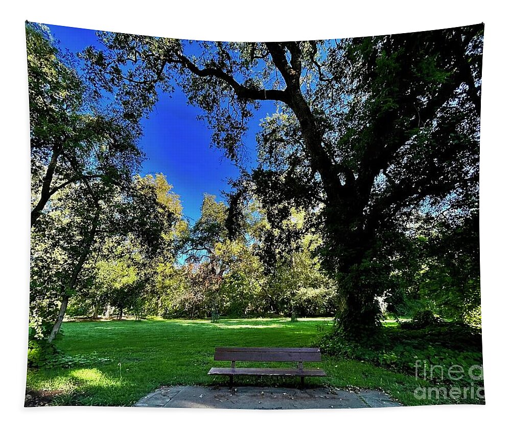 Bidwell Park Tapestry featuring the photograph Bidwell Park Bench, Chico, California by Suzanne Lorenz