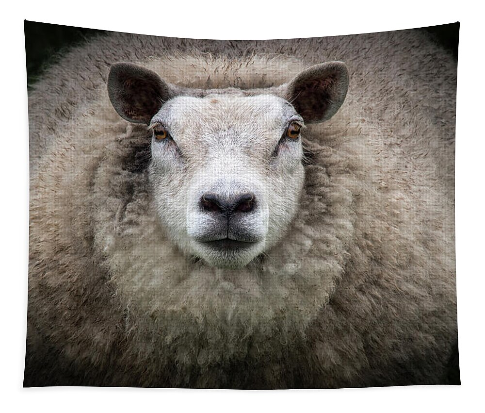Sheep Tapestry featuring the photograph Big Mama by Louise Tanguay
