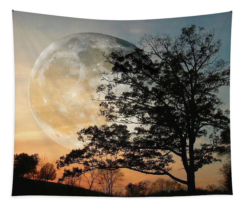 Moon Tapestry featuring the photograph Big Moon in Sunset by Shara Abel