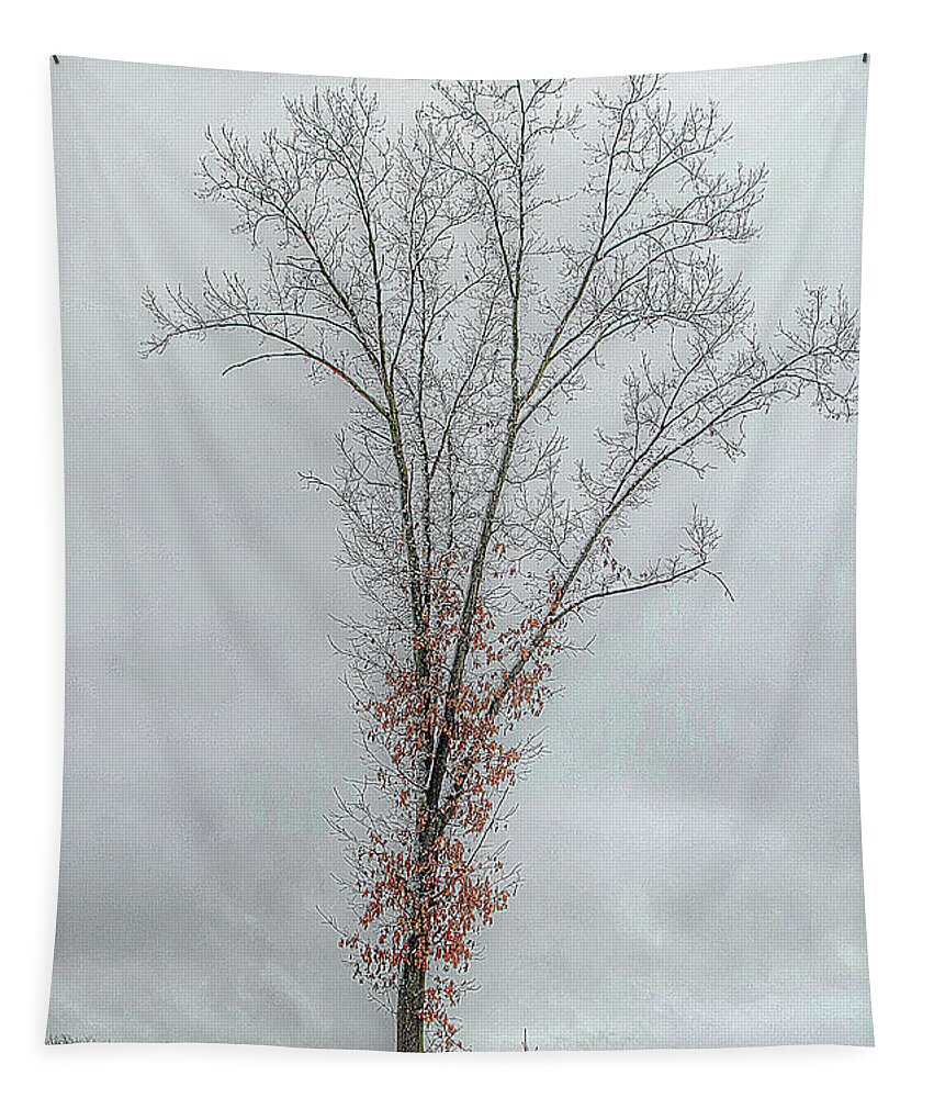 True Tapestry featuring the photograph Big Oak and Little Oak by Randy Pollard