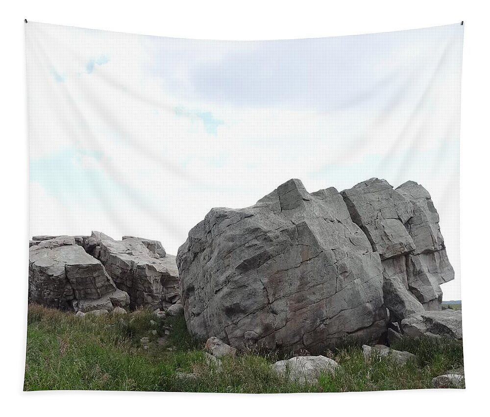 Glacial Erratic Tapestry featuring the photograph Big Rock 1 by Lisa Mutch
