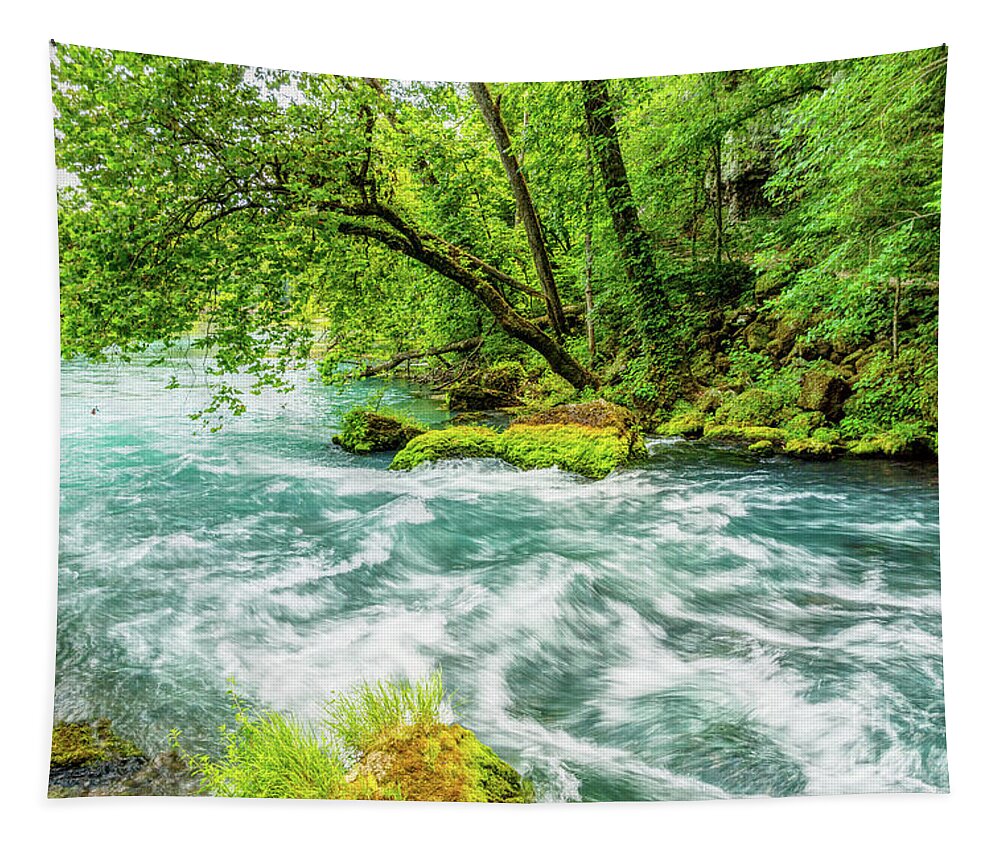 Big Spring Tapestry featuring the photograph Big Spring Ozarks by Jennifer White