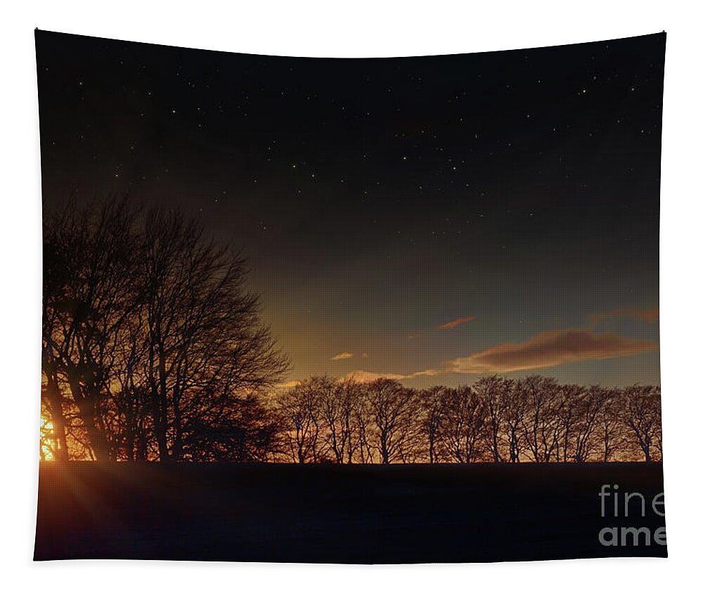 Norfolk Tapestry featuring the photograph Norfolk rural sunset through winter trees by Simon Bratt