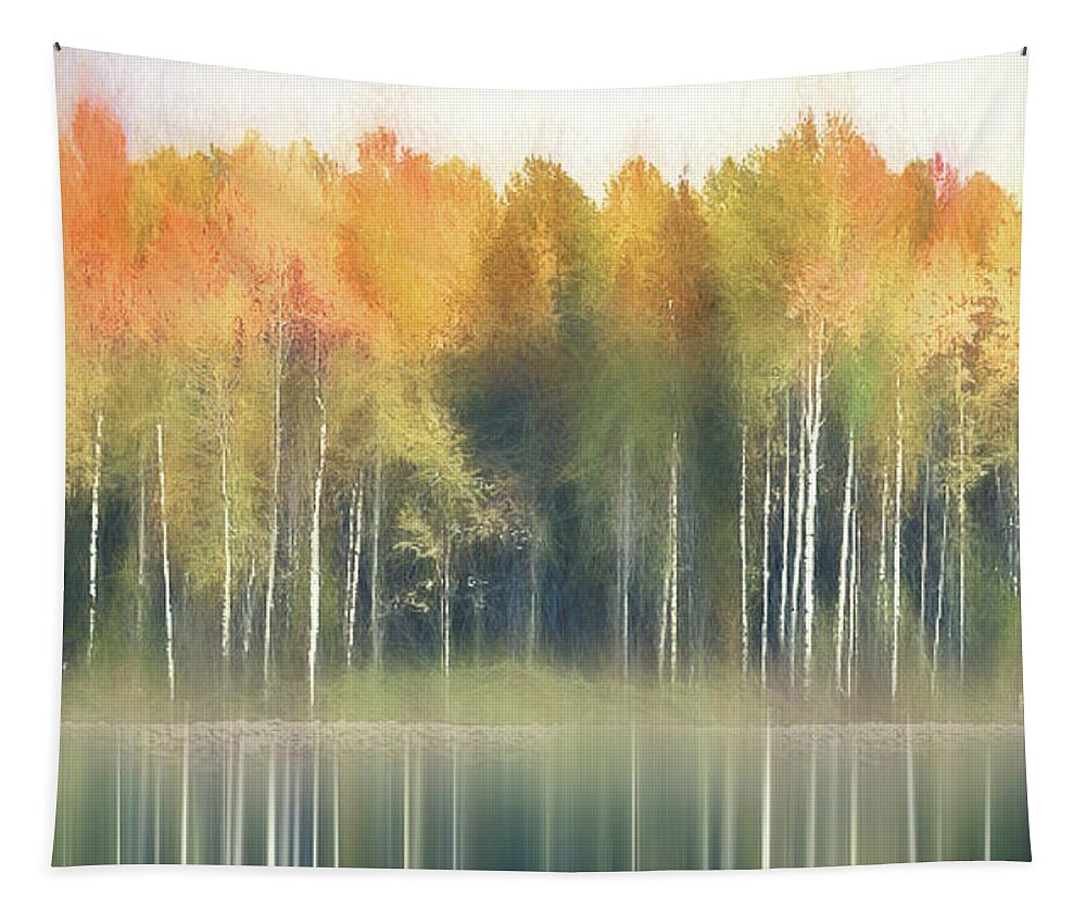 Photography Tapestry featuring the digital art Birch Tree Soft by Terry Davis