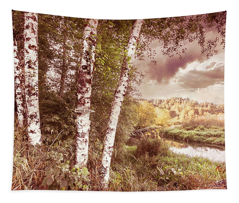Clouds Tapestry featuring the photograph Birch Trees on the Edge of the Marsh in Vintage Tones by Debra and Dave Vanderlaan