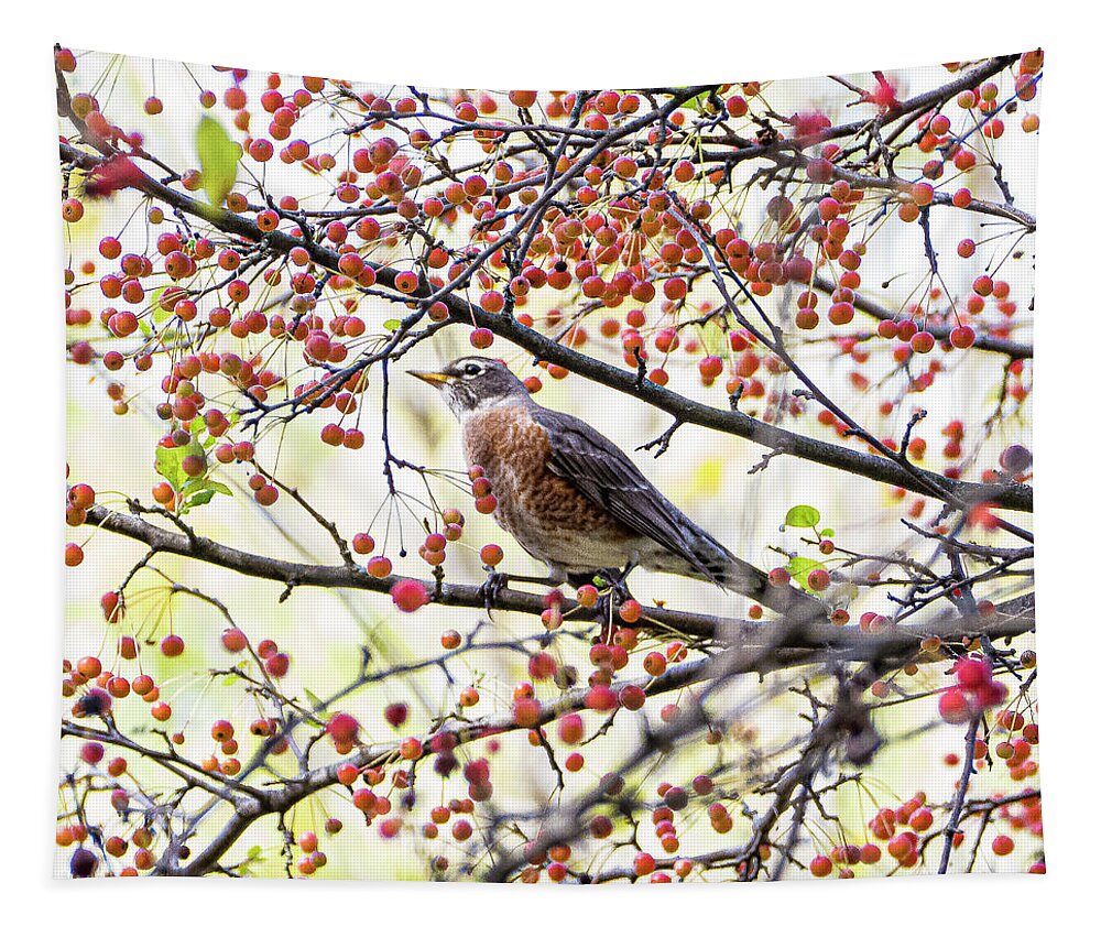 Bird Tree Red Berries Colorful Tapestry featuring the photograph Bird in a Tree by David Morehead