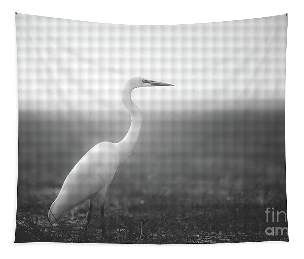 Birds Tapestry featuring the photograph Bird in Dream by Dheeraj Mutha