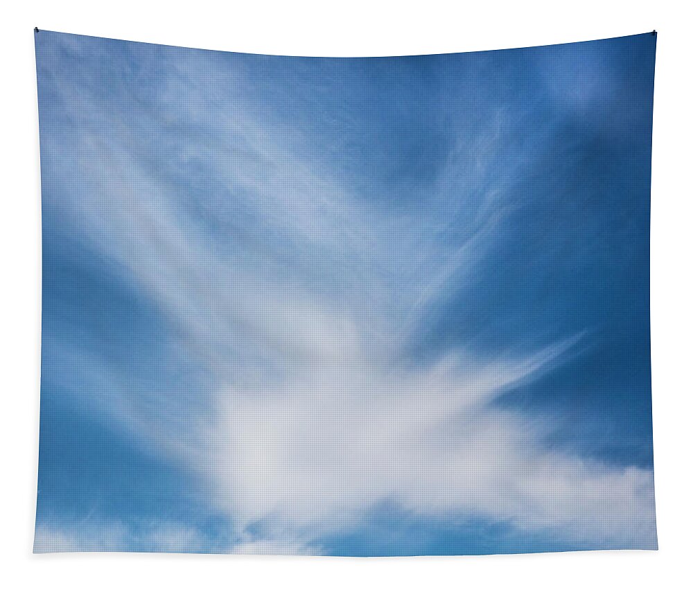 Cloudscape Tapestry featuring the photograph Bird in Flight Cloudscape by Debra and Dave Vanderlaan
