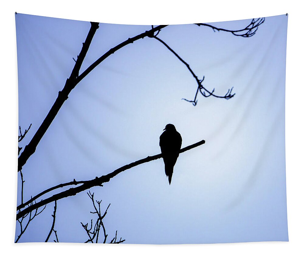 Bird Tapestry featuring the photograph Mourning Dove Silhouette - Blue Skies by Jason Fink