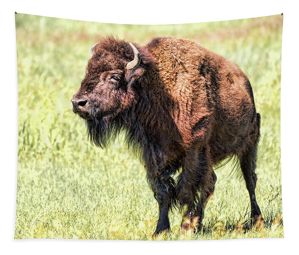 Bison Tapestry featuring the photograph Bison 3 by Joe Granita