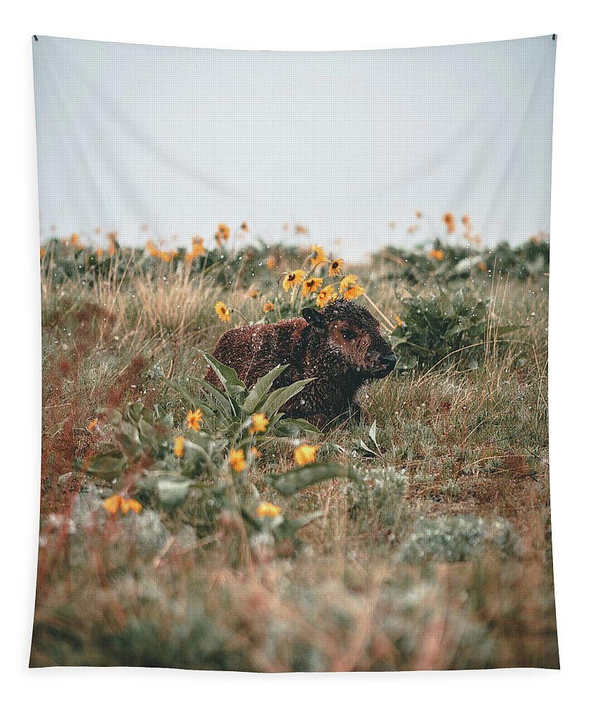  Tapestry featuring the photograph Bison Calf by William Boggs