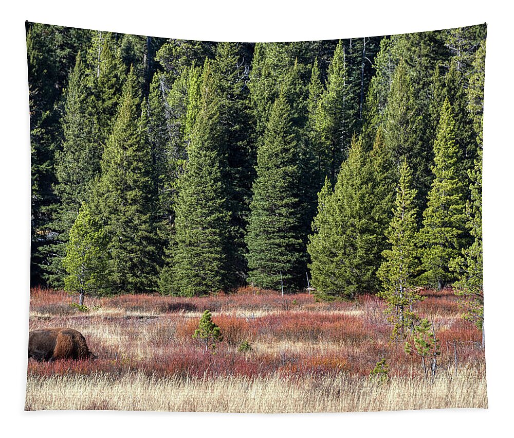 Yellowstone Tapestry featuring the photograph Bison In Meadow by Paul Freidlund