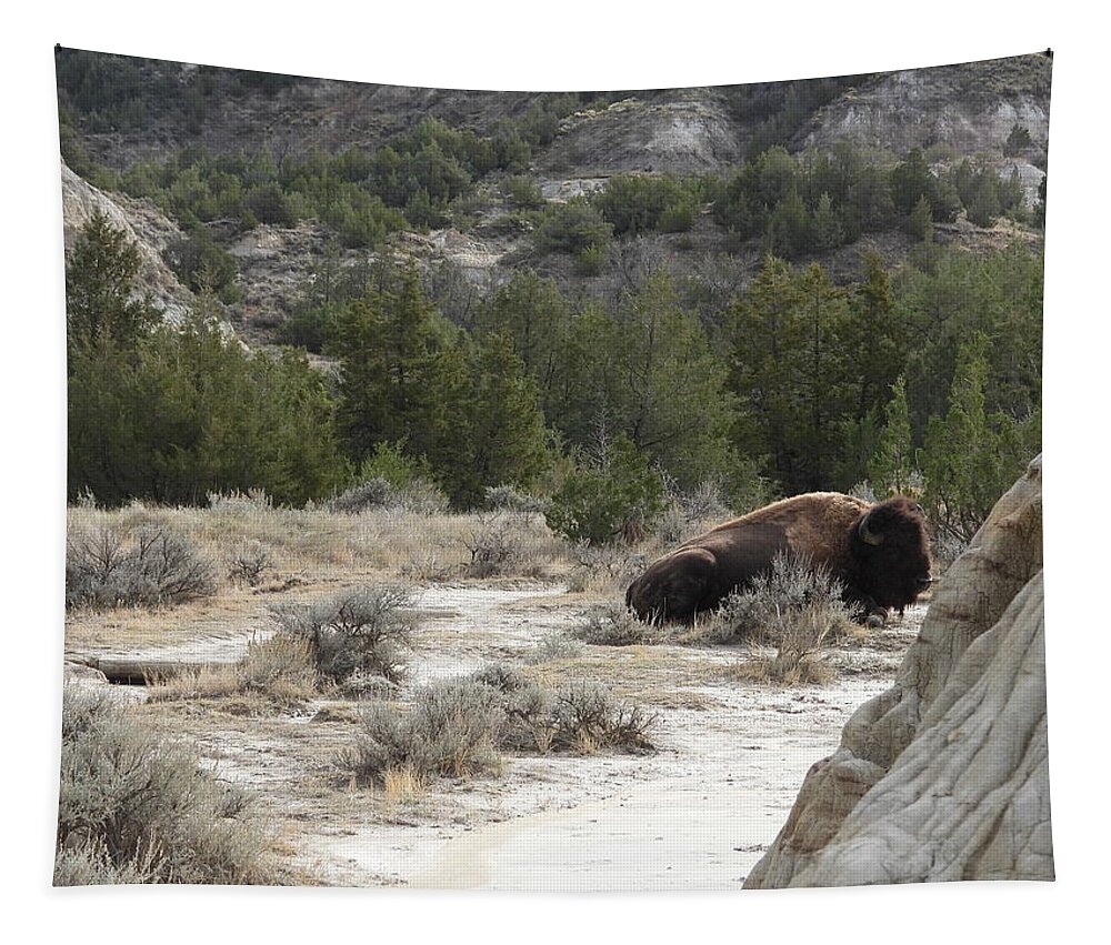 Bison Tapestry featuring the photograph Bison On The Trail by Amanda R Wright