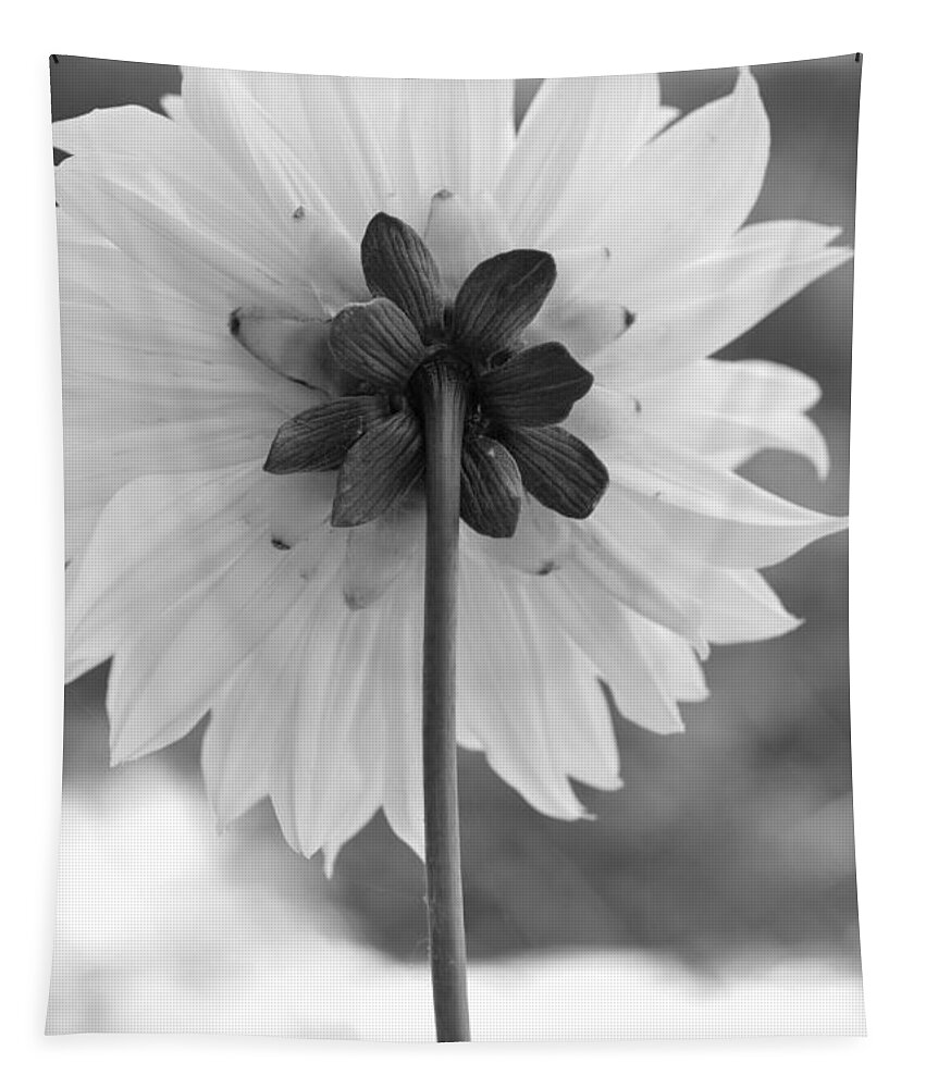 Flower Tapestry featuring the photograph Black and White Dahlia 2 by Amy Fose