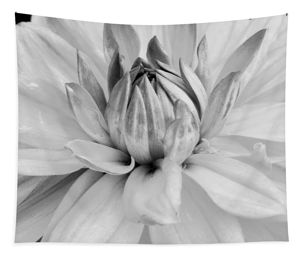 Flower Tapestry featuring the photograph Black and White Dahlia 3 by Amy Fose