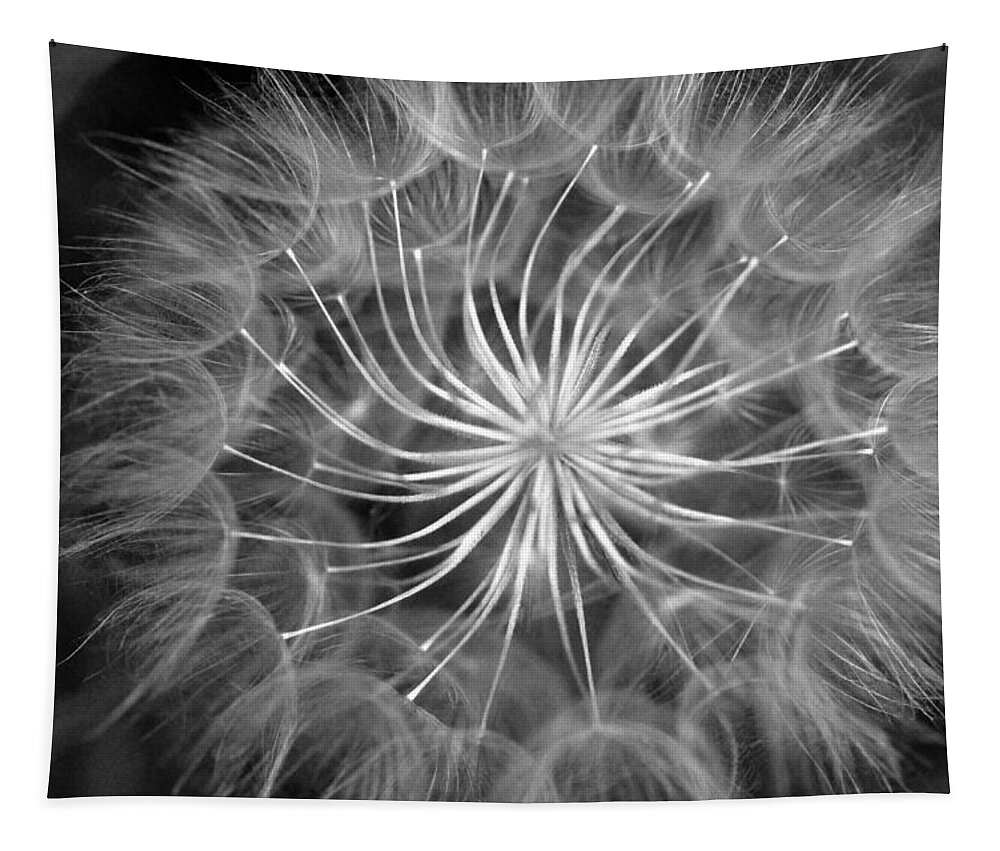 Nature Tapestry featuring the photograph Black and White Dandelion 2 by Amy Fose