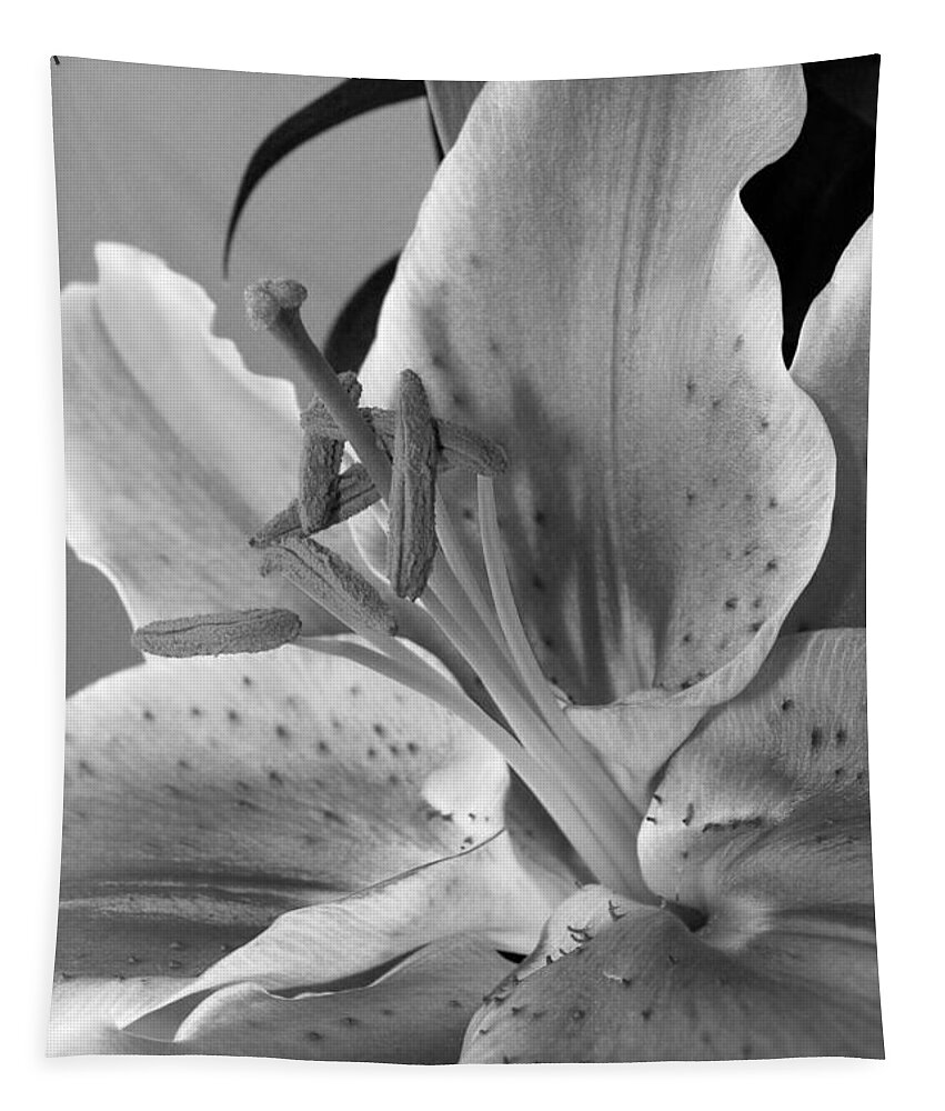 Lily Tapestry featuring the photograph Black and White Lily 1 by Amy Fose
