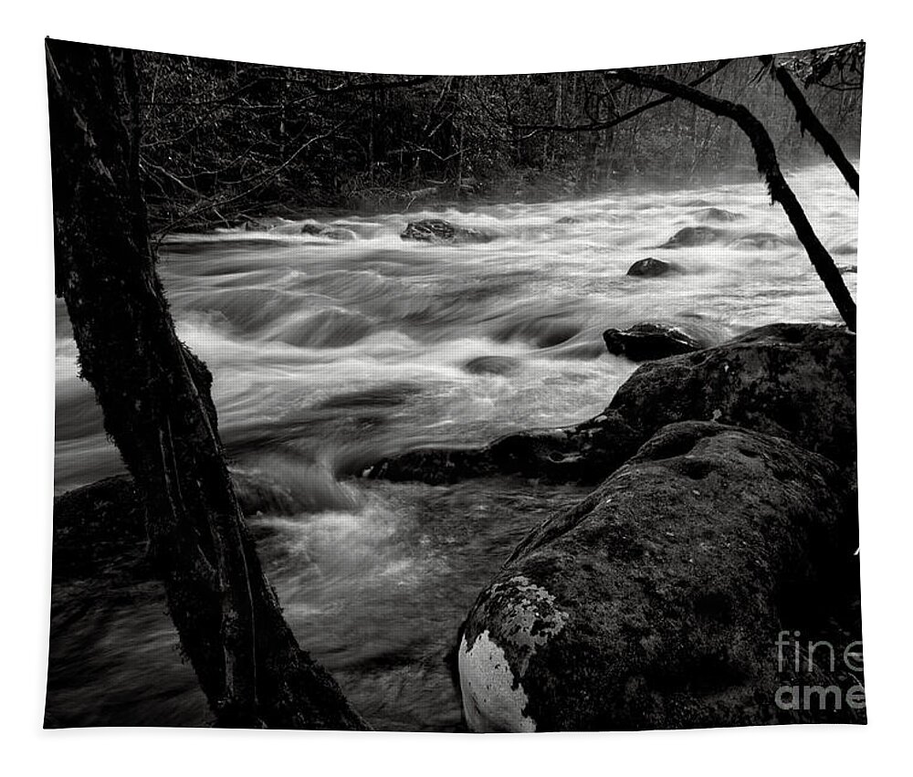 Middle Prong Trail Tapestry featuring the photograph Black And White River 3 by Phil Perkins