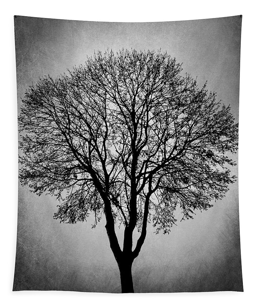 Tree Tapestry featuring the digital art Black and White Tree Design 206 by Lucie Dumas