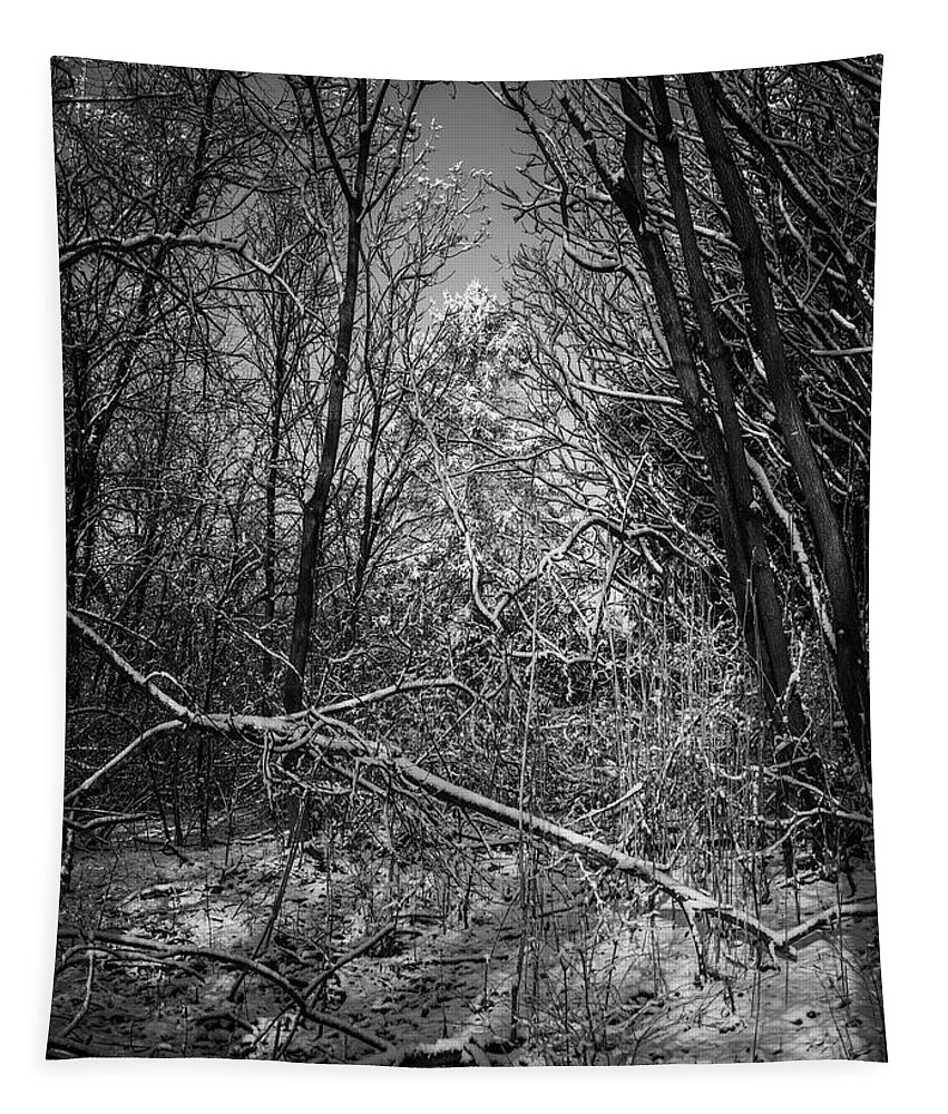 Winter Tapestry featuring the photograph Black and White Winter Woods Memory by Bruce Pritchett