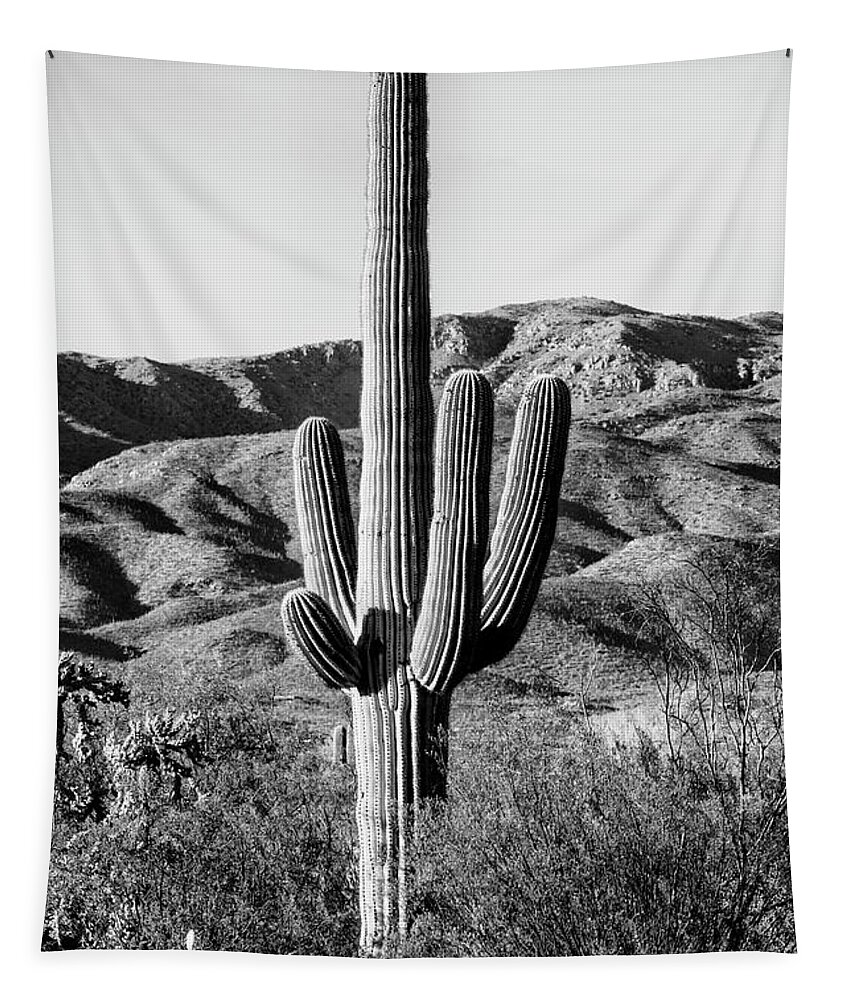 Arizona Tapestry featuring the photograph Black Arizona Series - Giant Cactus II by Philippe HUGONNARD