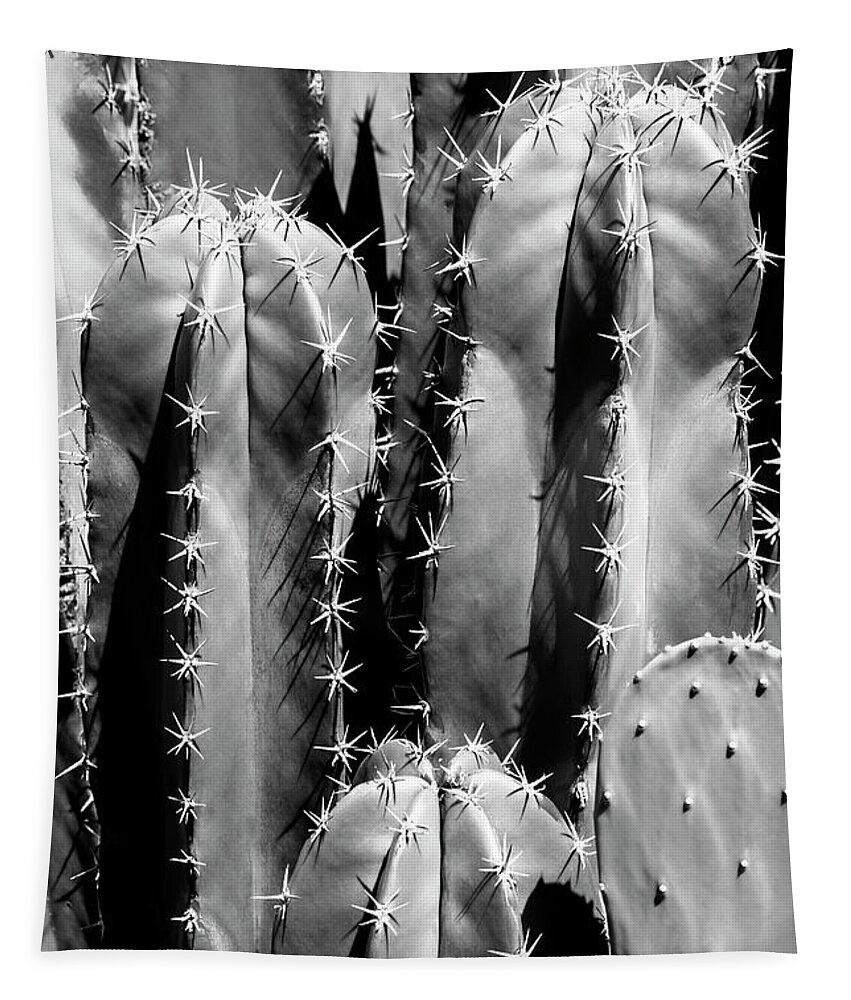Arizona Tapestry featuring the photograph Black Arizona Series - Saguaro Cactus Close Up II by Philippe HUGONNARD