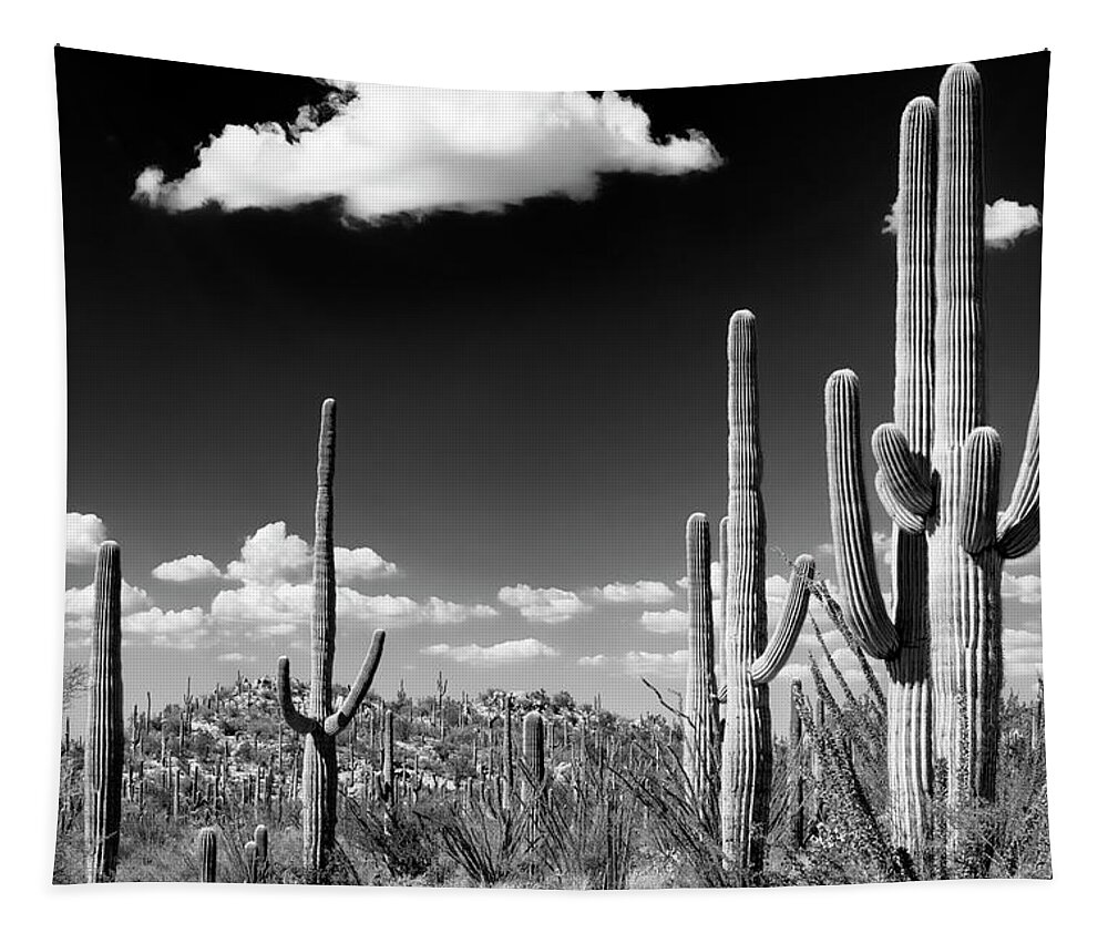 Arizona Tapestry featuring the photograph Black Arizona Series - Saguaro Cactus Desert by Philippe HUGONNARD