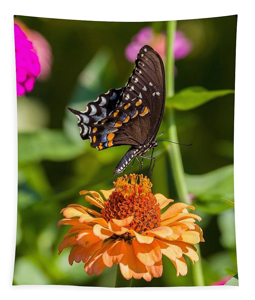 Flower Tapestry featuring the photograph Black Butterfly by Kevin Craft