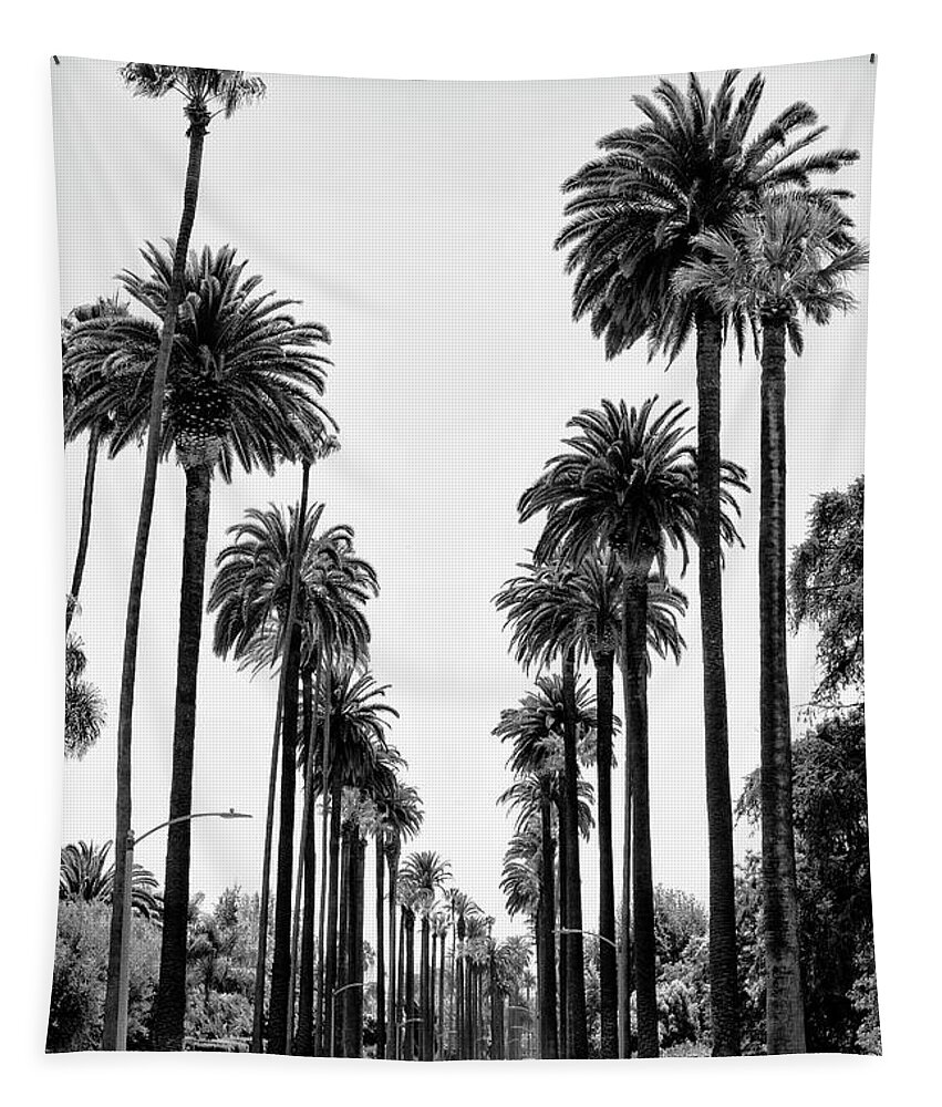 Palm Trees Tapestry featuring the photograph Black California Series - Beverly Hills Palm Alley by Philippe HUGONNARD
