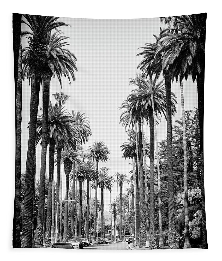 Palm Trees Tapestry featuring the photograph Black California Series - Los Angeles Street by Philippe HUGONNARD