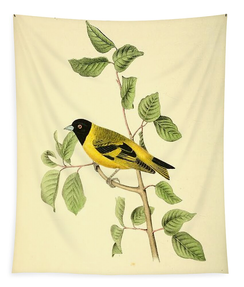 Birds Tapestry featuring the mixed media Black headed Goldfinch by World Art Collective